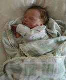 Little Mallard Duck QUILTED 6 Layer Gauze Blanket